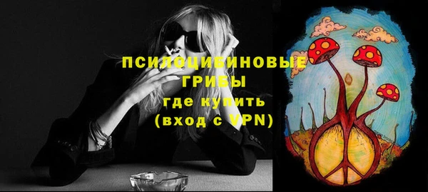 эйфоретик Карпинск