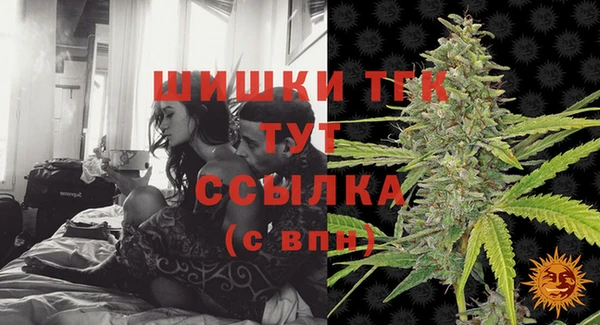 эйфоретик Карпинск