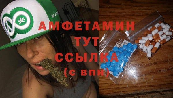 стаф Карталы