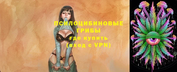 стаф Карталы