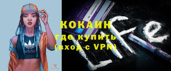 стаф Карталы